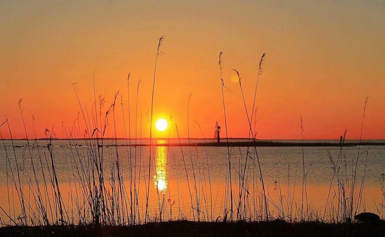 Simoone Kesklinna Apartment ฮัปซาลู ภายนอก รูปภาพ